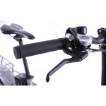 Elektrický bicykel Fuzlu Folding Fatbike 20" sivo-čierny 